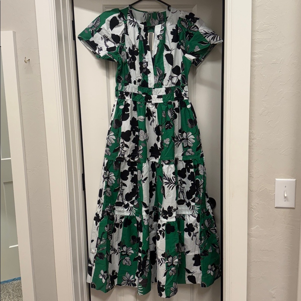 Anthro Floral Green and Black Maxi Dress